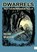 Dwarrels: het verdwenen volk, Renk Ruiter - Paperback - 9789048424764