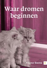 Waar dromen beginnen - Nanno Brink - 9789048426522
