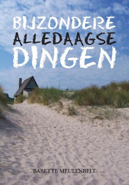 Bijzondere alledaagse dingen, Babette Meulenbelt - Paperback - 9789048441259