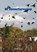 De Natuurhoroscoop, Girbe Buist - Paperback - 9789048442331