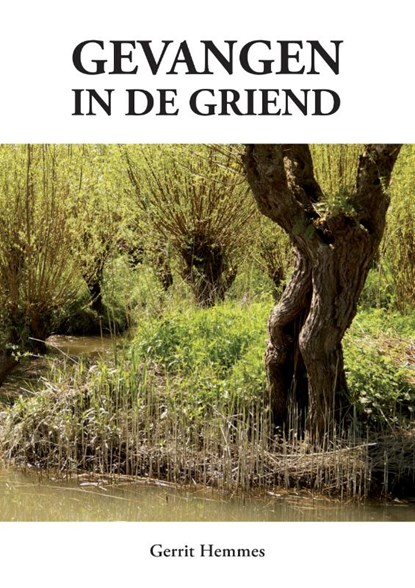 Gevangen in de griend, Gerrit Hemmes - Paperback - 9789048444359