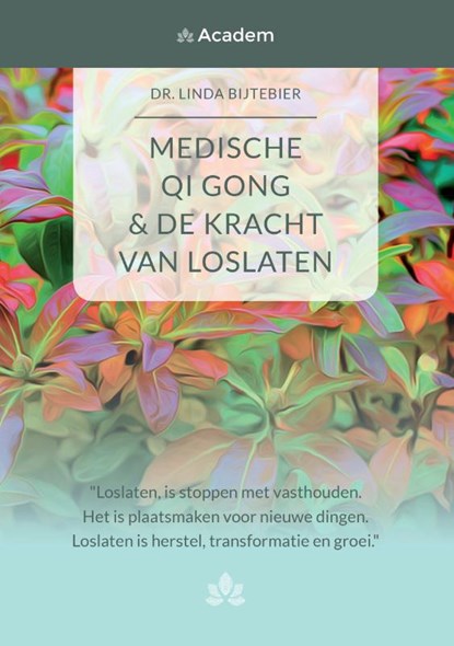 Medische Qigong & de kracht van loslaten, Linda Bijtebier - Paperback - 9789048444397
