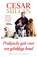 Praktische gids voor een gelukkige hond, Cesar Millan ; Melissa Jo Peltier - Paperback - 9789048820917