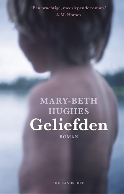 De geliefden, Mary-Beth Hughes - Paperback - 9789048841431