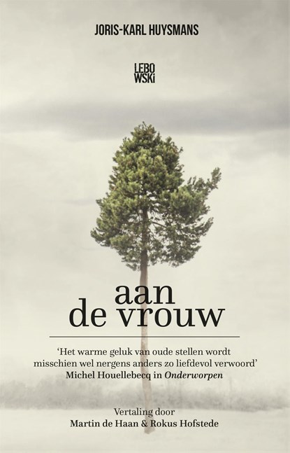 Aan de vrouw, Joris-Karl Huysmans - Ebook - 9789048841943