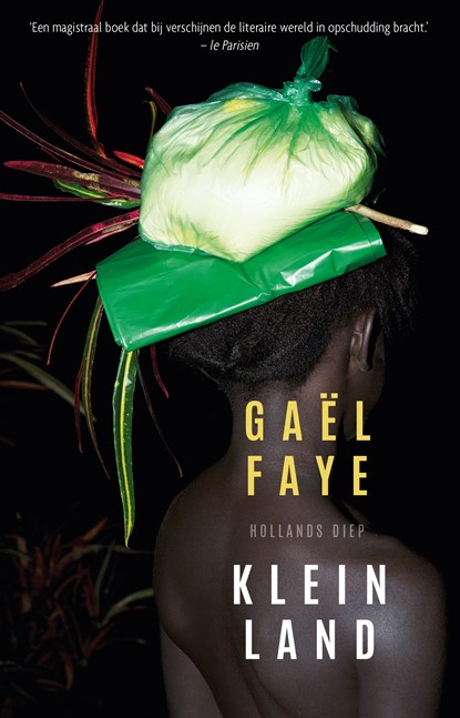 Klein land, Gaël Faye ; Liesbeth van Nes - Paperback - 9789048843749