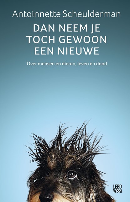 Dan neem je toch gewoon een nieuwe, Antoinnette Scheulderman - Ebook - 9789048844562