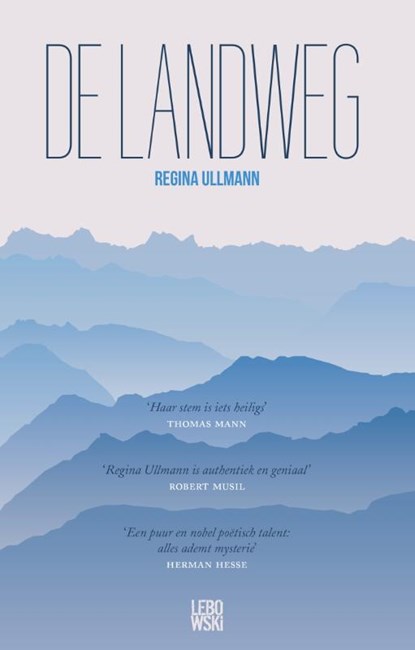 De landweg, Regina Ullmann - Paperback - 9789048845699