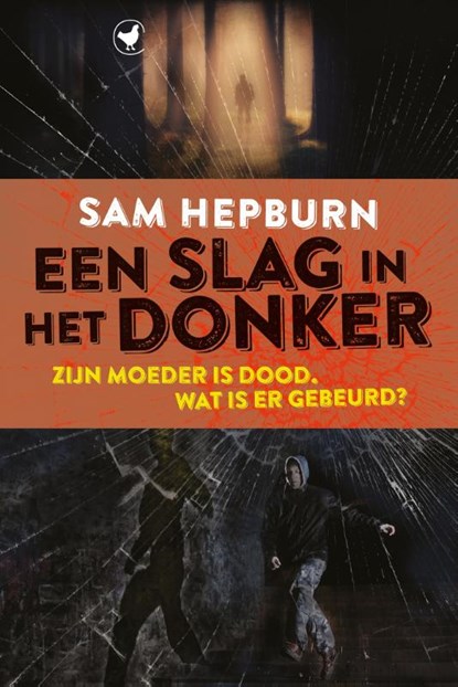 Een slag in het donker, Sam Hepburn - Paperback - 9789048854479