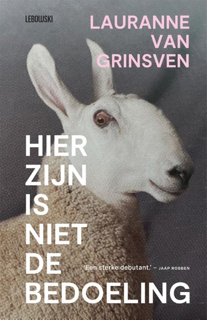 Hier zijn is niet de bedoeling, Lauranne van Grinsven - Paperback - 9789048862436