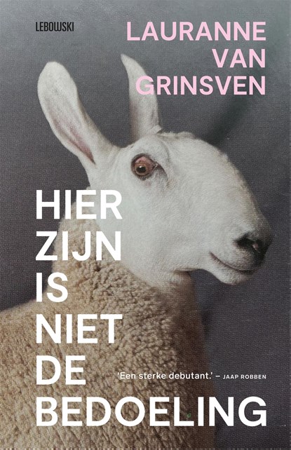Hier zijn is niet de bedoeling, Lauranne van Grinsven - Ebook - 9789048862443