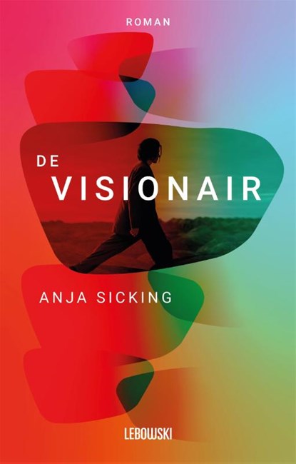 De visionair, Anja Sicking - Paperback - 9789048862498