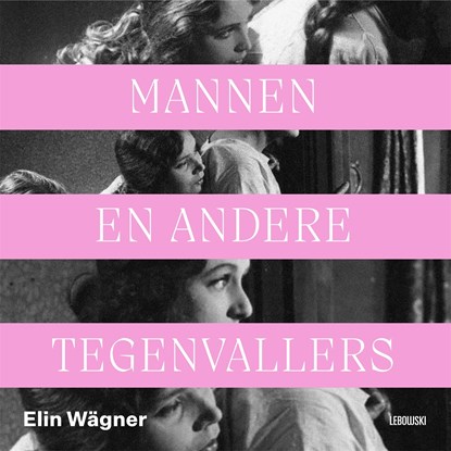 Mannen en andere tegenvallers, Elin Wägner - Luisterboek MP3 - 9789048866908