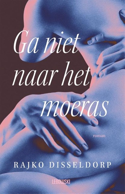 Ga niet naar het moeras, Rajko Disseldorp - Paperback - 9789048868445