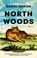 North Woods, Daniel Mason - Paperback - 9789048869282