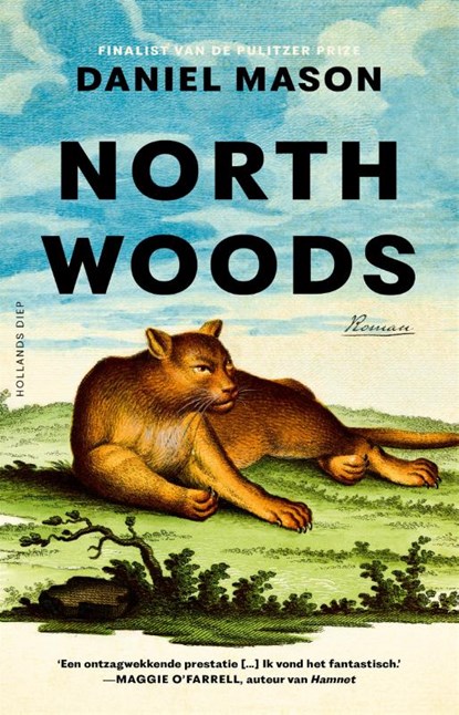 North Woods, Daniel Mason - Paperback - 9789048869282