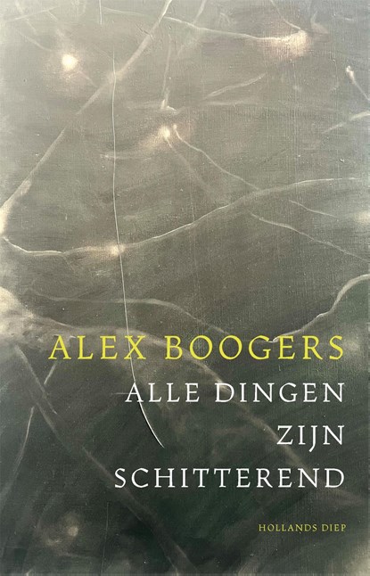 Alle dingen zijn schitterend, Alex Boogers - Ebook - 9789048873111
