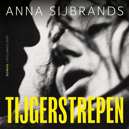 Tijgerstrepen, Anna Sijbrands - Luisterboek MP3 - 9789048878017