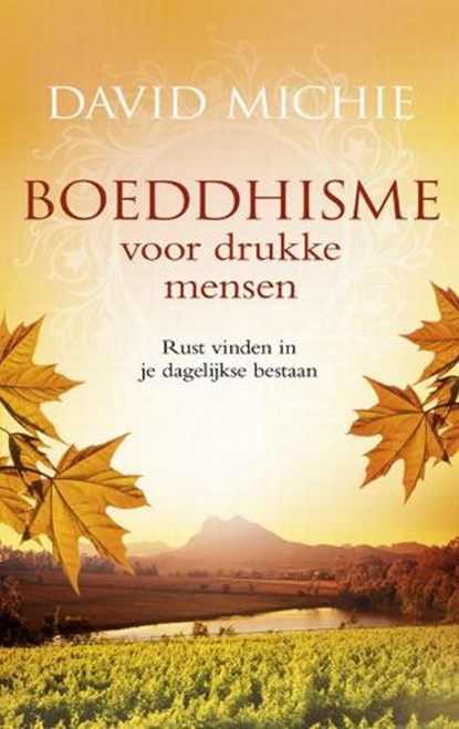 Boeddhisme voor drukke mensen, MICHIE, David - Gebonden - 9789049201340