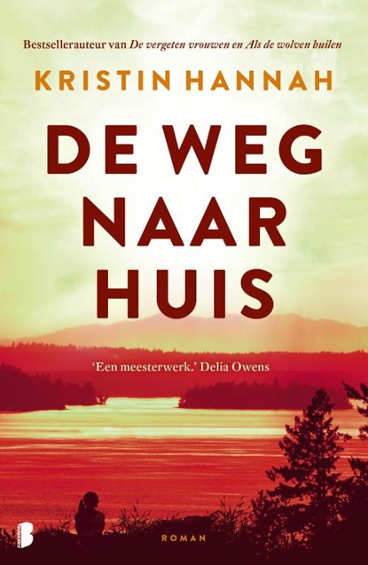 De weg naar huis, Kristin Hannah - Paperback - 9789049206093