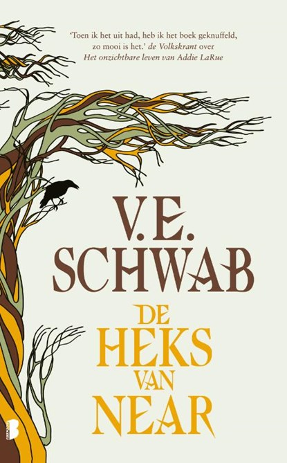 De heks van Near, V.E. Schwab - Gebonden - 9789049206123