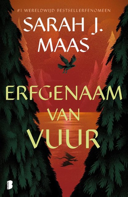 Erfgenaam van vuur, Sarah J. Maas - Paperback - 9789049206291