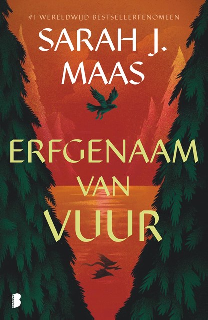 Erfgenaam van vuur, Sarah J. Maas - Paperback - 9789049206291