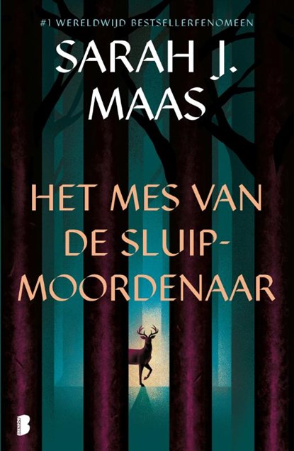 Het mes van de sluipmoordenaar, Sarah J. Maas - Paperback - 9789049206345