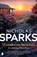 Wonderen bestaan, Nicholas Sparks - Paperback - 9789049208387