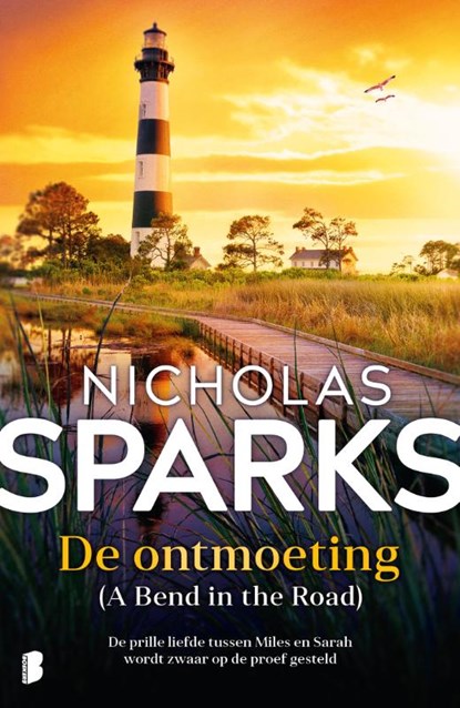 De ontmoeting, Nicholas Sparks - Paperback - 9789049209605