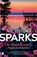 De thuiskomst, Nicholas Sparks - Paperback - 9789049210083