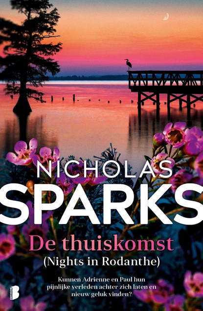 De thuiskomst, Nicholas Sparks - Paperback - 9789049210083