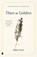 Theo in Golden, Allen Levi - Gebonden - 9789049211929