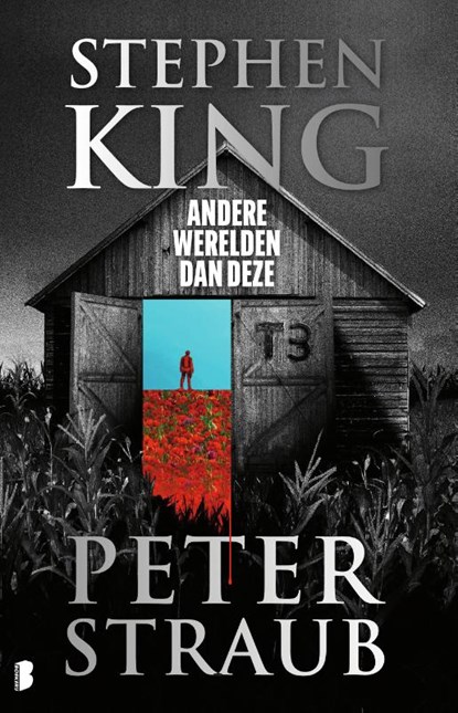 Andere werelden dan deze, Stephen King ; Peter Straub - Paperback - 9789049211950