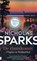 De thuiskomst, Nicholas Sparks - Paperback - 9789049213510