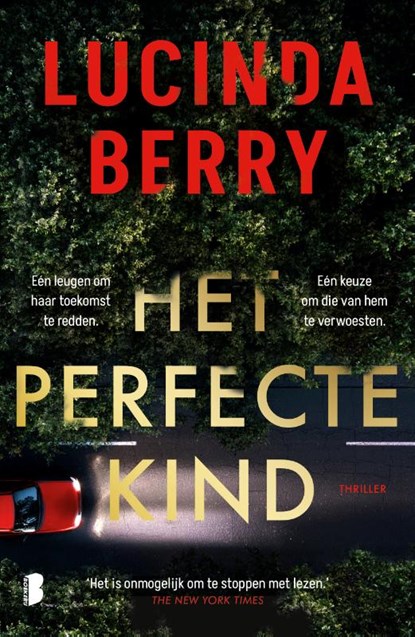 Het perfecte kind, Lucinda Berry - Paperback - 9789049213770
