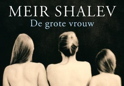 De grote vrouw, SHALEV, Meir - Paperback - 9789049800567