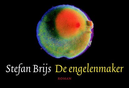 De engelenmaker, BRIJS, Stefan - Paperback - 9789049800864