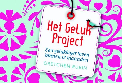 Het Geluk Project, RUBIN, Gretchen - Paperback - 9789049800949