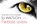 Tweede leven, S.J. Watson ; SJ Watson - Paperback - 9789049803834