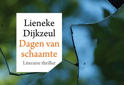 Dagen van schaamte, Lieneke Dijkzeul - Paperback - 9789049805098