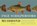 Muidhond, Inge Schilperoord - Paperback - 9789049805623