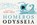 Odysseia DL, Homeros - Paperback - 9789049807573