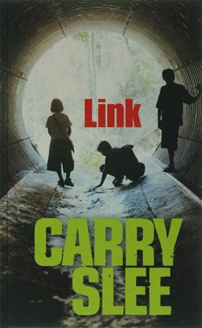 Link, SLEE, C. - Gebonden - 9789049922146