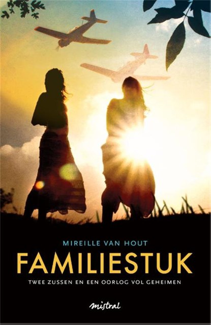 Familiestuk, Mireille van Hout - Paperback - 9789049952358