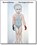 Marlene Dumas. The Image as Burden (NL ed), Marlene Dumas - Paperback - 9789050061896