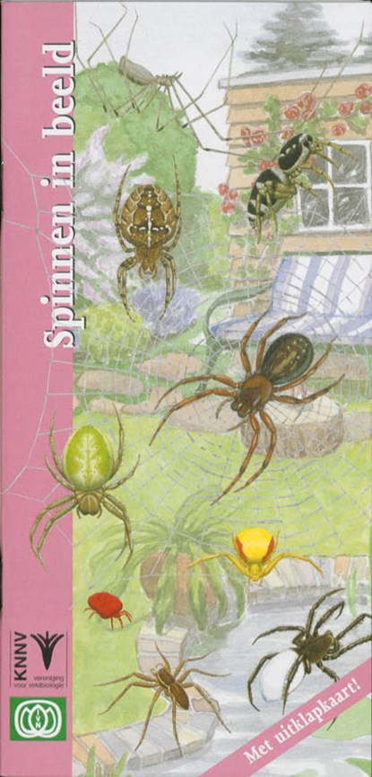 Spinnen in beeld, G.J. Roebers ; Geert-Jan Roebers - Paperback - 9789050112932