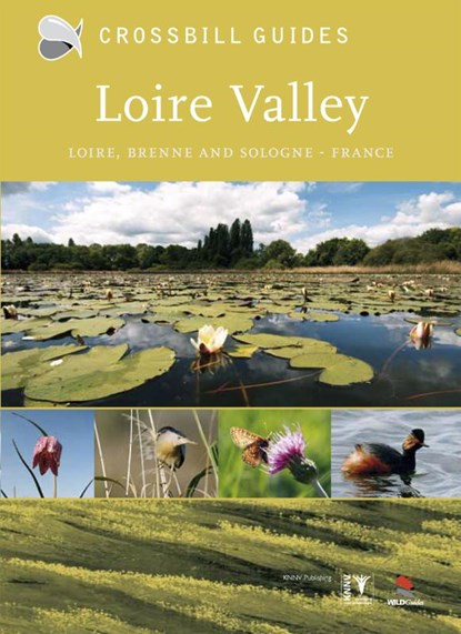 Loire valley, Dirk Hilbers ; Tony Williams - Paperback - 9789050113540