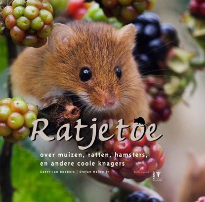 Ratjetoe, ROEBERS, G.J. & HALEWIJN, S. - Gebonden - 9789050113717