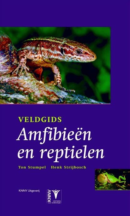 Veldgids amfibieën en reptielen, Tom Stumpel ; Henk Strijbosch - Ebook Adobe PDF - 9789050114387